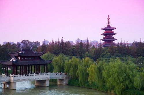 苏州文化国际旅行社 信息化赋能,开启旅游消费新生态
